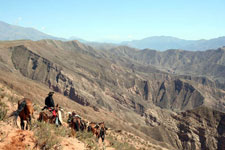 Argentina-Salta-Inca Trails near Salta